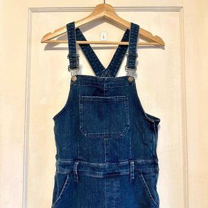 Express Denim Jumpsuit